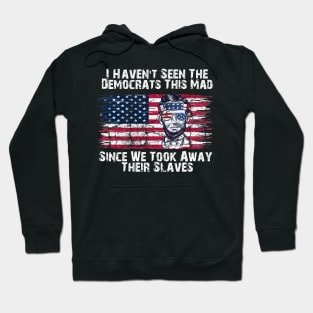 i havent seen the democrats this mad Hoodie